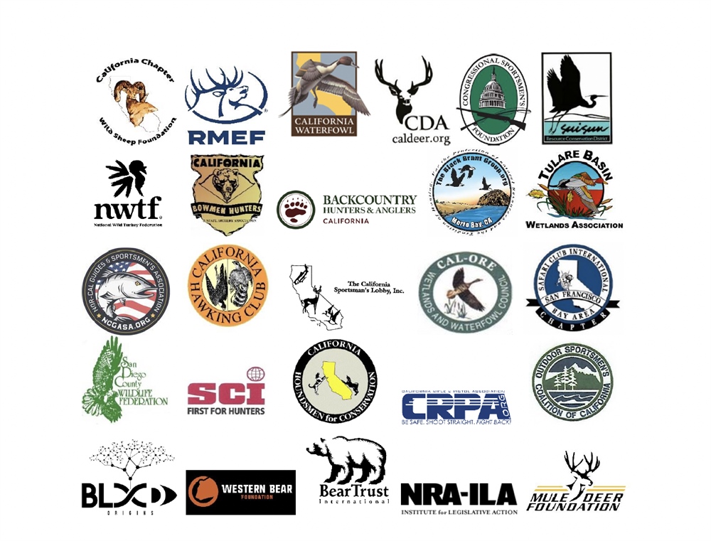 26 NGO's Band Together for Bear Hunting in California