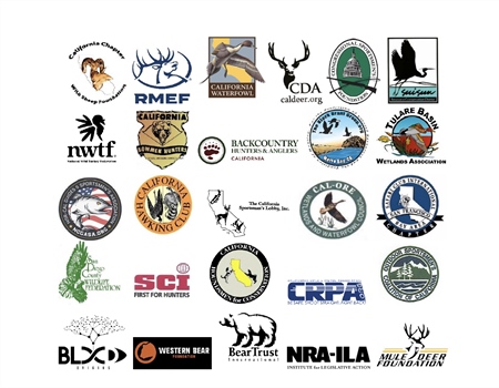 26 NGO's Band Together for Bear Hunting in California
