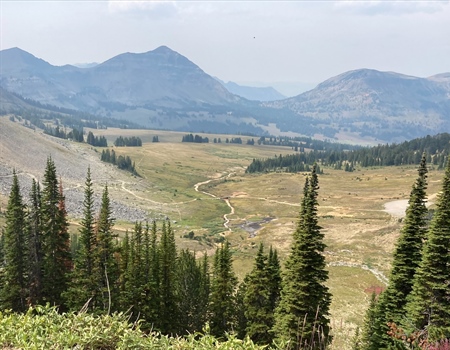 LETTER: MT BHA Opposes Narrative Water Standards by MTDEQ