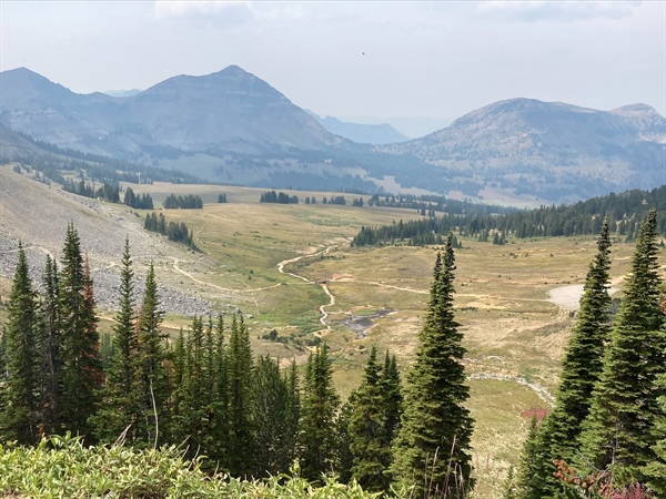 LETTER: MT BHA Opposes Narrative Water Standards by MTDEQ