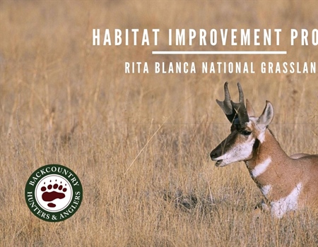 Texas BHA plans habitat improvement project for Panhandle pronghorn