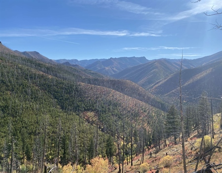 The Custer Gallatin National Forest’s new guiding doc