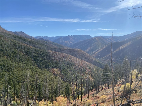 The Custer Gallatin National Forest’s new guiding doc