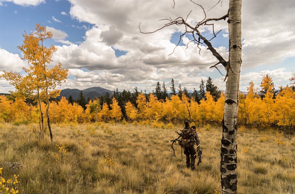 Controversial elk hunting regs on Montana Fish and Wildlife Commission agenda Friday