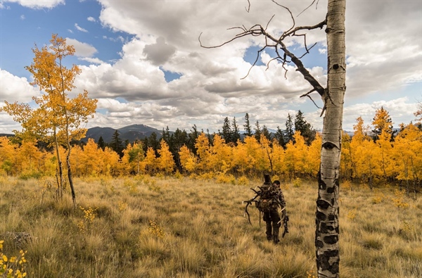 Controversial elk hunting regs on Montana Fish and Wildlife Commission agenda Friday