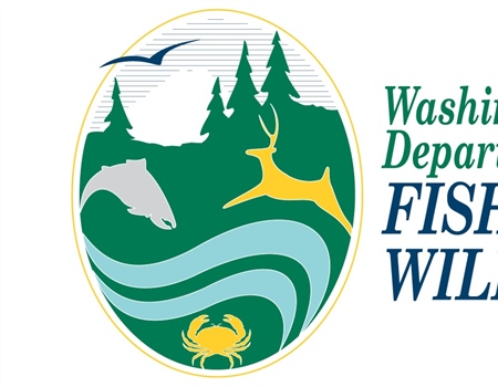 Bryce Levin Comments: Full Commission Needed for Best Wildlife Management