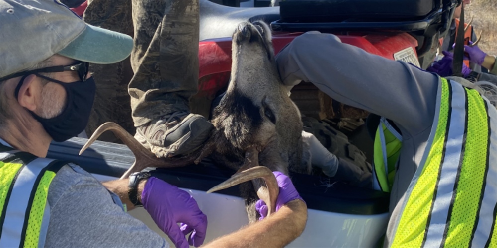 CWD on Oregon's Doorstep