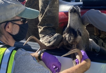 CWD on Oregon's Doorstep