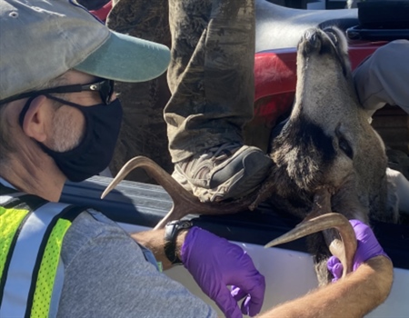 CWD on Oregon's Doorstep