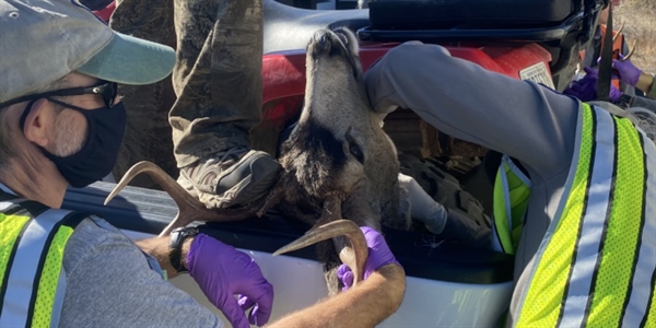 CWD on Oregon's Doorstep