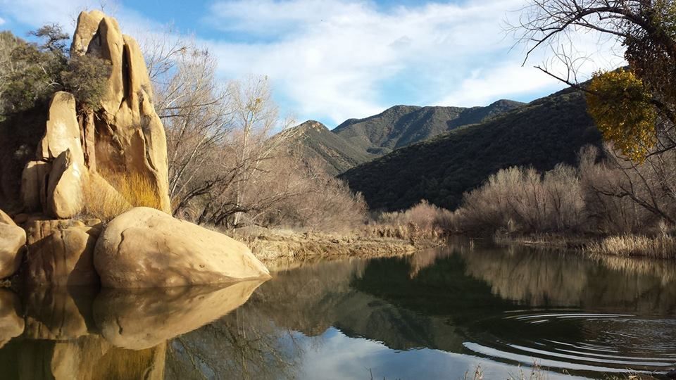 Arizona BHA Opposes Resolution That Would Put Habitat Conservation On the Back Burner
