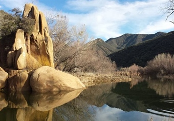 Arizona BHA Opposes Resolution That Would Put Habitat Conservation On the Back Burner