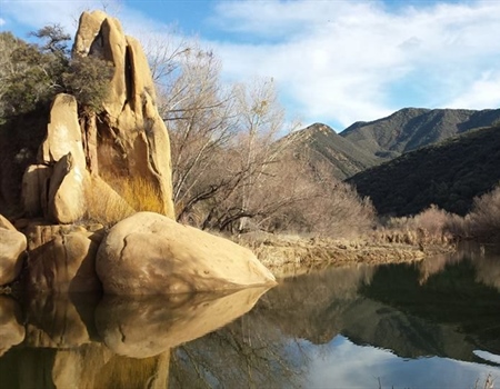Arizona BHA Opposes Resolution That Would Put Habitat Conservation On the Back Burner