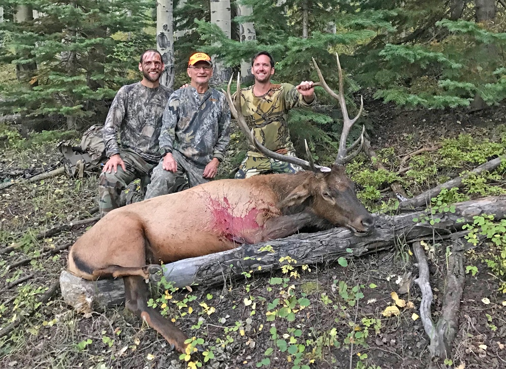 A Bull for Dad