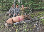 A Bull for Dad