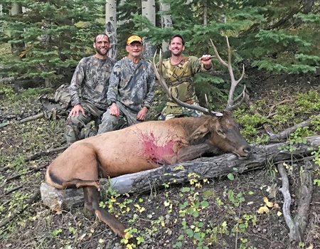 A Bull for Dad