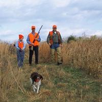 Wisconsin BHA addresses package of 'Freedom Bills'