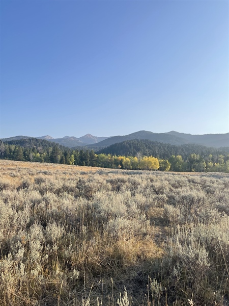 Land Swap in the South Crazy Mountains Completed