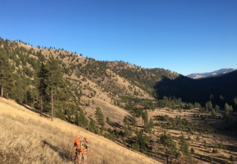 2022/2023 Season Setting - Montana BHA Comments in Opposition to Eliminating 240-50 Mule Deer Wilderness Permit