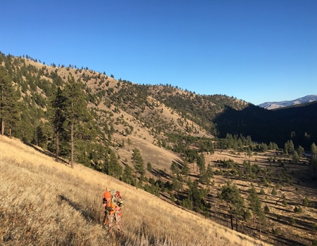 2022/2023 Season Setting - Montana BHA Comments in Opposition to Eliminating 240-50 Mule Deer Wilderness Permit