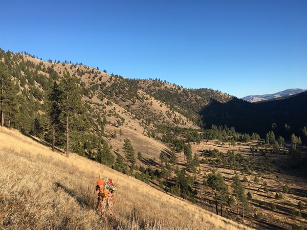 2022/2023 Season Setting - Montana BHA Comments in Opposition to Eliminating 240-50 Mule Deer Wilderness Permit