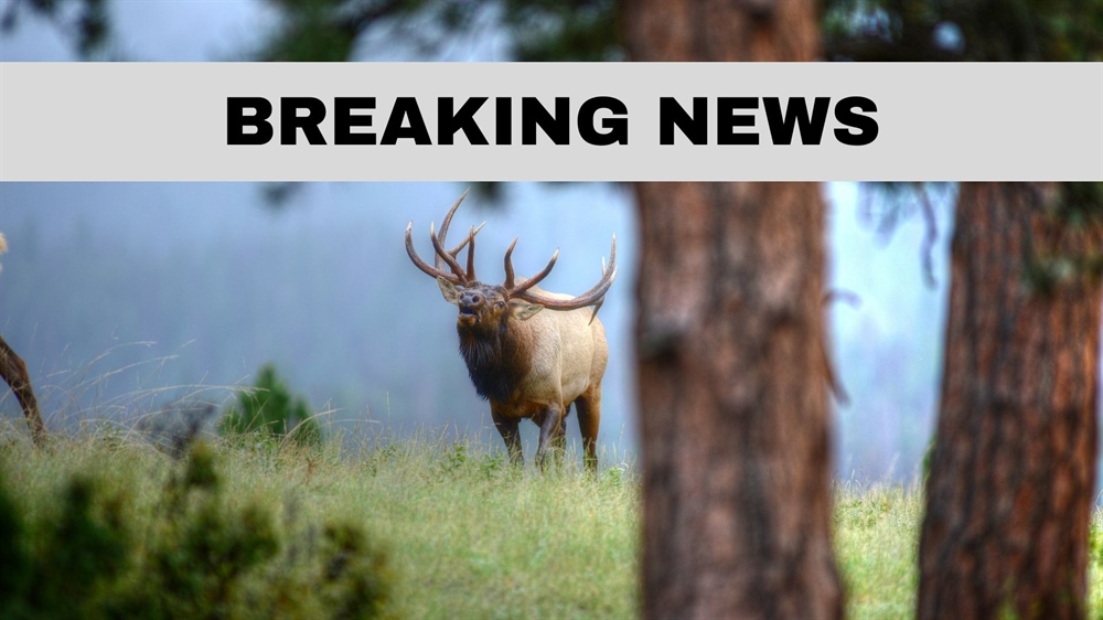 Governor Removes Another Qualified Commissioner