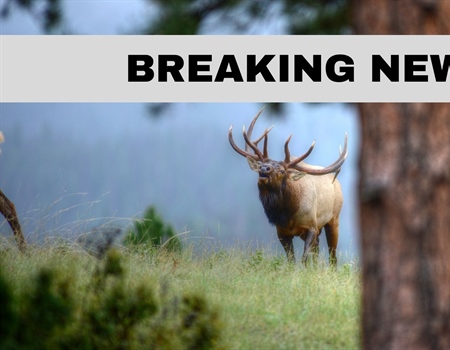 Governor Removes Another Qualified Commissioner