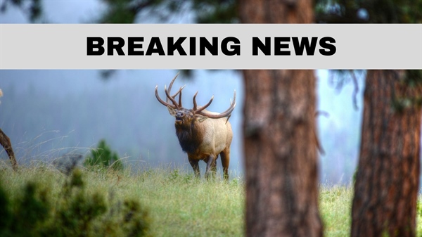 Governor Removes Another Qualified Commissioner