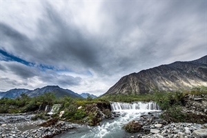 Administration Move to Conserve Arctic Reserve Draws Praise from BHA