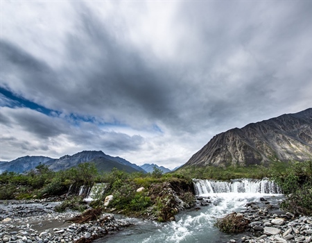 Administration Move to Conserve Arctic Reserve Draws Praise from BHA