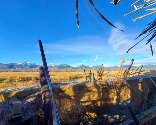 Montana BHA Clarifies R3 Efforts