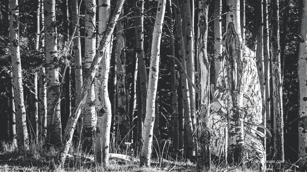 Hunting Photography with Tony Bynum