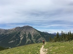 Alberta Chapter Fights for Wild Places and Creatures