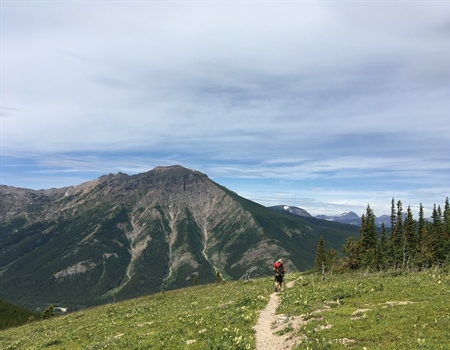 Alberta Chapter Fights for Wild Places and Creatures