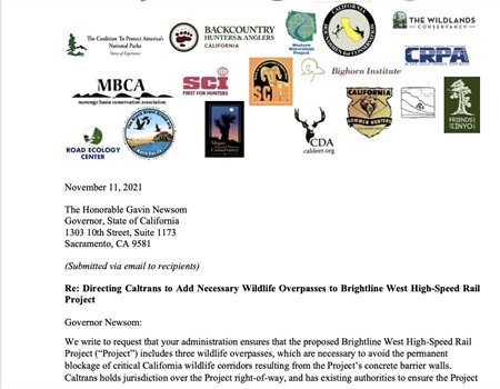 CA Chapter Advocates for Wildlife Overpasses in High Speed Rail Project