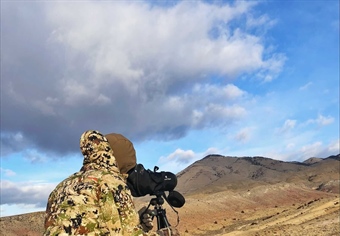 EVENT RECAP: Highland Mountains Bighorn Sheep Survey with MT FWP