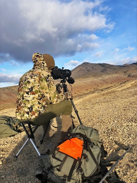 EVENT RECAP: Highland Mountains Bighorn Sheep Survey with MT FWP