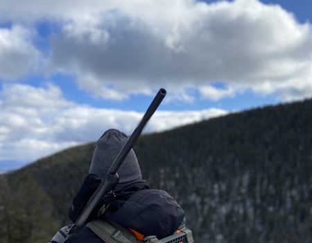 State commission considers changes to bull elk permits