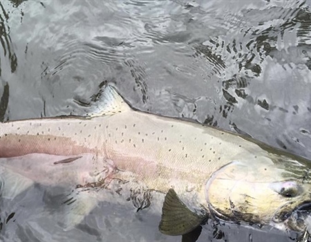 Susitna Basin Recreation Rivers
