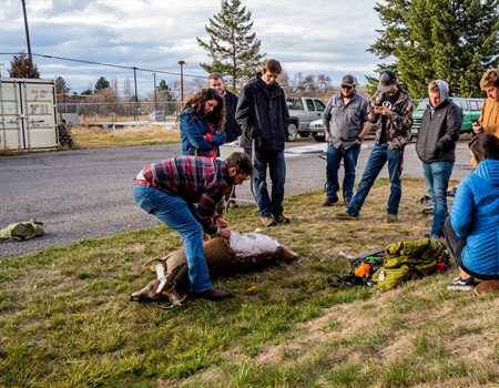Hunting for Sustainability Ramps Up Efforts in Montana