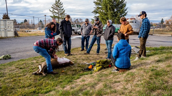 Hunting for Sustainability Ramps Up Efforts in Montana