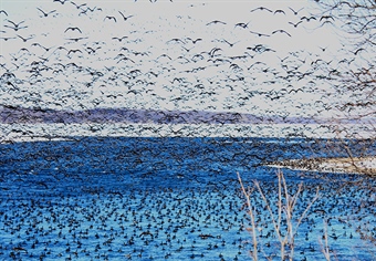 Great news! Lac Qui Parle Land Sale Approved!