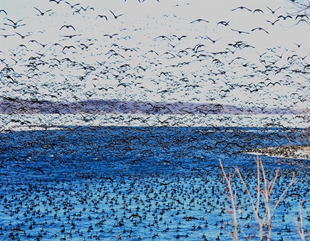 Great news! Lac Qui Parle Land Sale Approved!