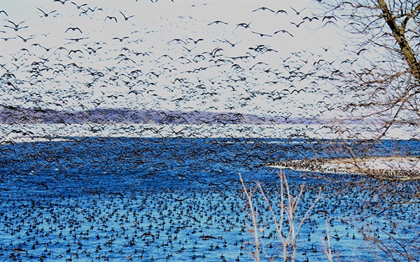 Great news! Lac Qui Parle Land Sale Approved!