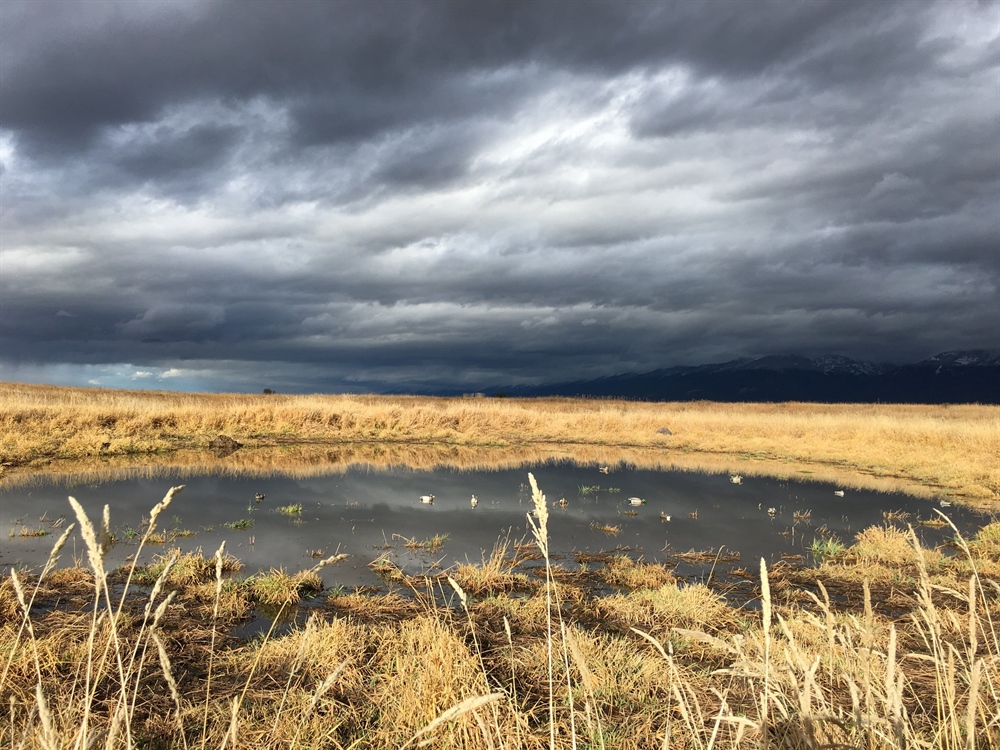 LETTER: MT BHA Opposes Refuge Waterfowl Habitat Acreage Loss for Admin Facilities
