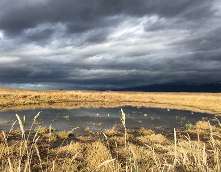 LETTER: MT BHA Opposes Refuge Waterfowl Habitat Acreage Loss for Admin Facilities