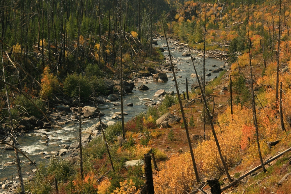 Daines would add wilderness removal to Tester’s Blackfoot Clearwater bill