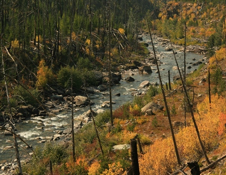 Daines would add wilderness removal to Tester’s Blackfoot Clearwater bill