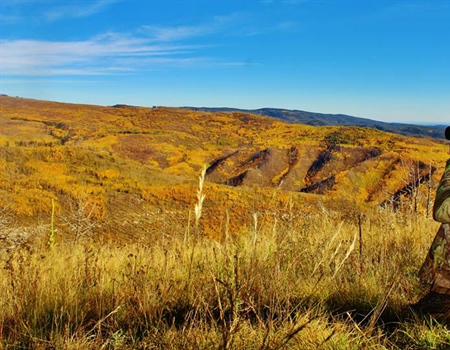 BHA Podcast & Blast, Ep. 116: Unraveling the Commercialization of Big Game in New Mexico