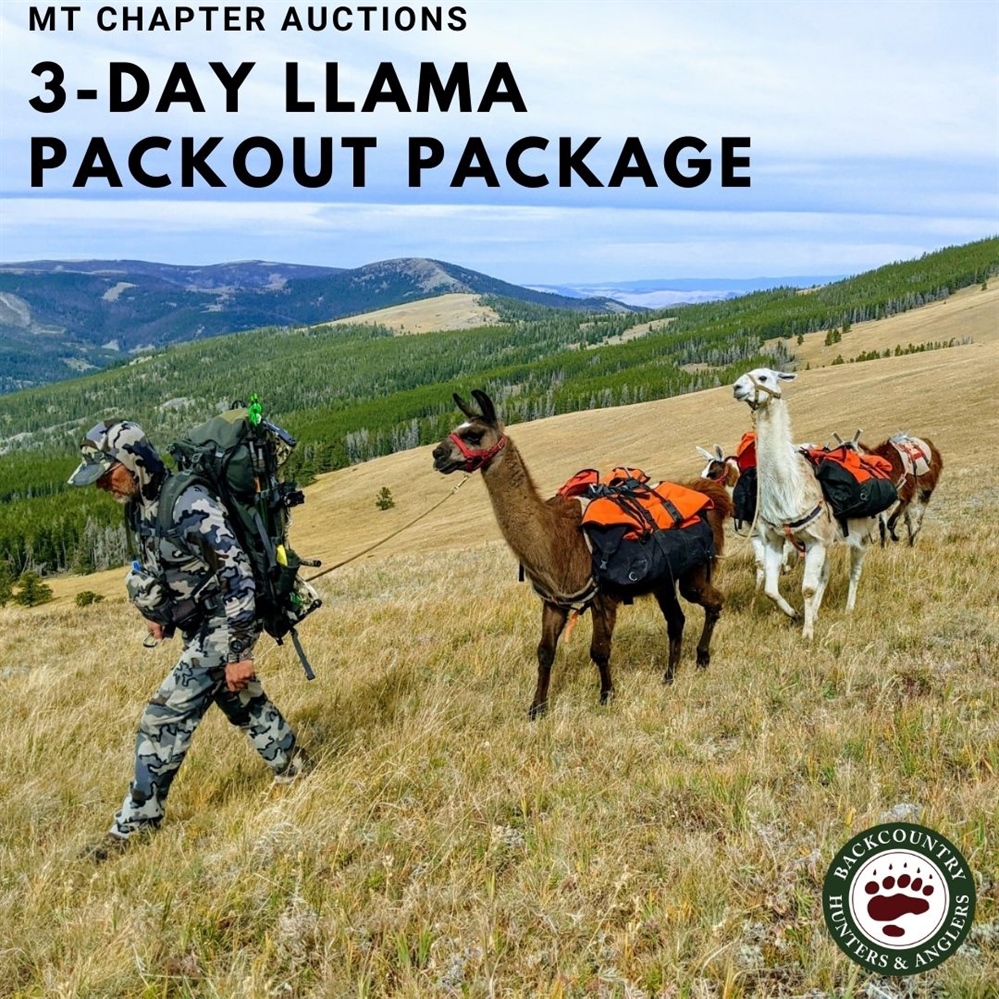MT BHA Auctions 3-Day Llama Packout Package